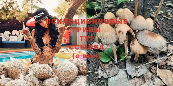кокс Гусиноозёрск