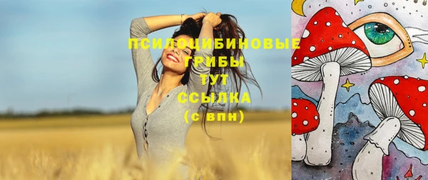 кокс Гусиноозёрск