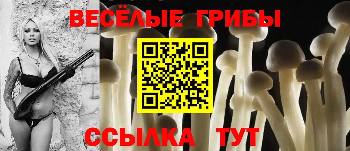 Галлюциногенные грибы MAGIC MUSHROOMS Дубна