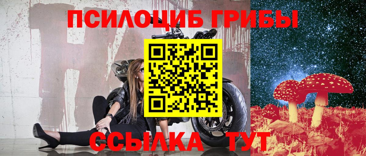 Псилоцибиновые грибы Magic Shrooms  Вход с VPN  Псилоцибиновые грибы Psilocybe  Дубна 